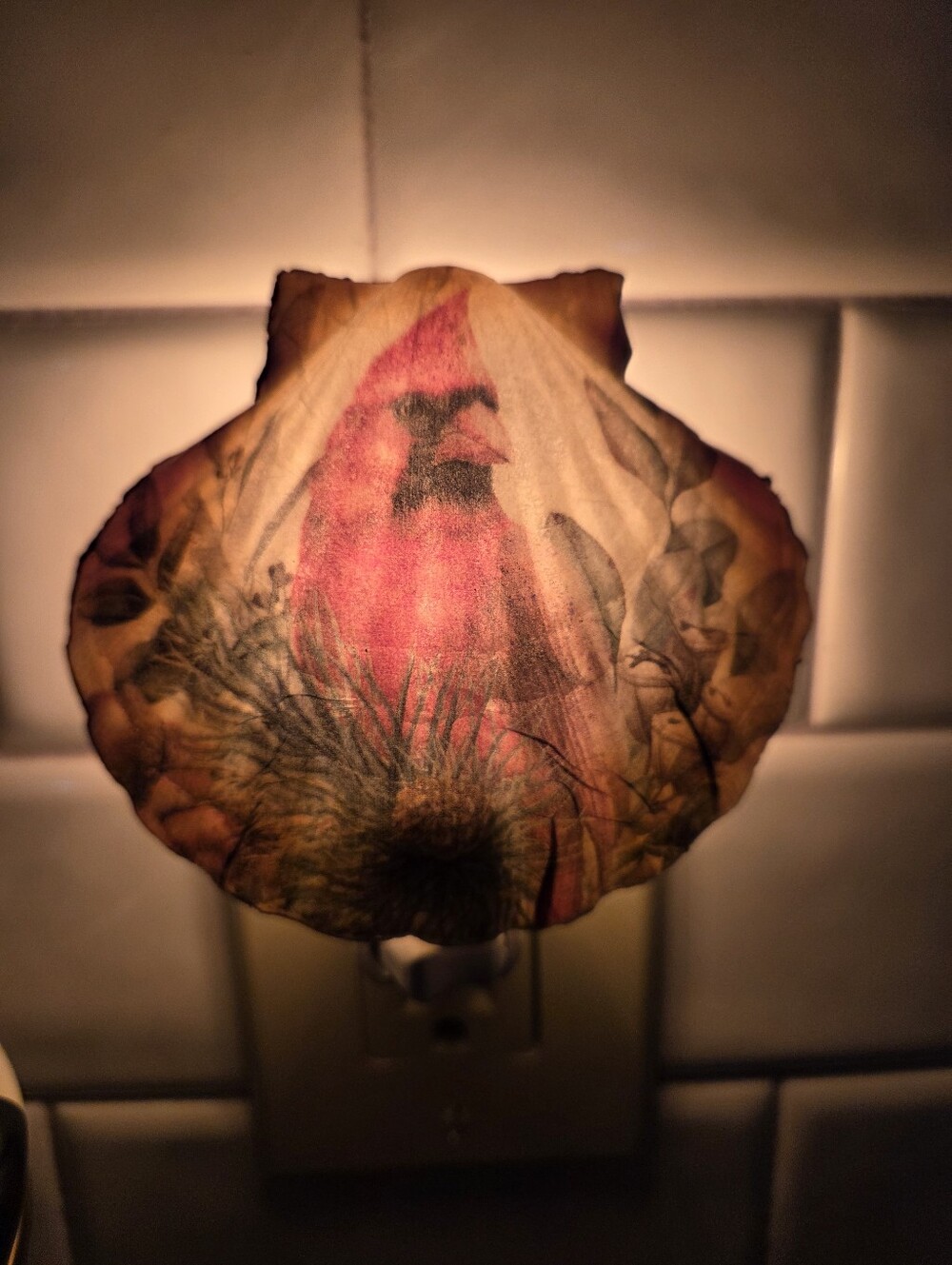 Handcrafted Cardinal Scallop Shell - Picture 3 of 4